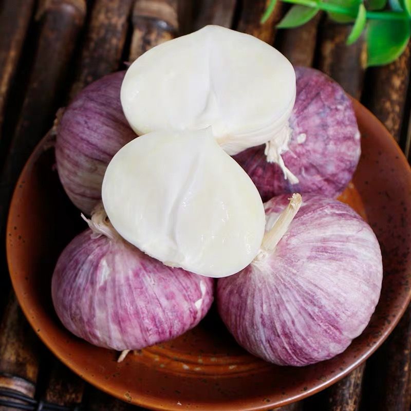 云南农家紫皮独头大蒜独头蒜紫蒜新鲜红皮大蒜头干蒜3/5 五斤装 出口