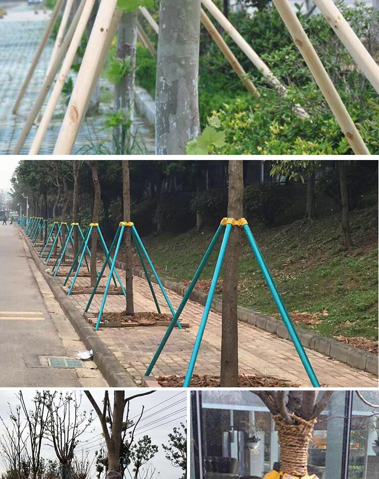 磐阙树木支撑架固定器绿化树木支架撑树杆大树固定支架套树支撑支树杆
