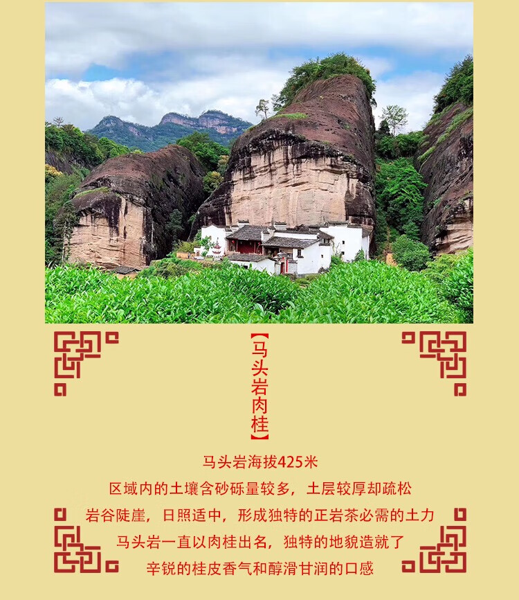 5折肉桂特级马头岩武夷大红袍正宗新茶小袋装果香醇香一斤500g散装
