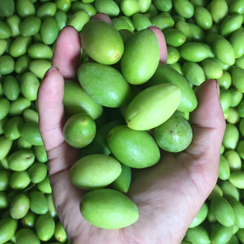 越南带皮腰果炭烧腰果仁干果休闲零食批发 2020年新鲜现摘青橄榄青果