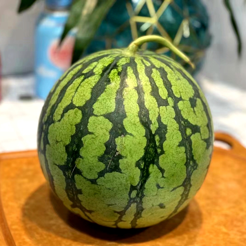 瓜博士冰糖西瓜海南头茬冰糖麒麟瓜脆甜多汁西瓜一颗约78斤78斤一个