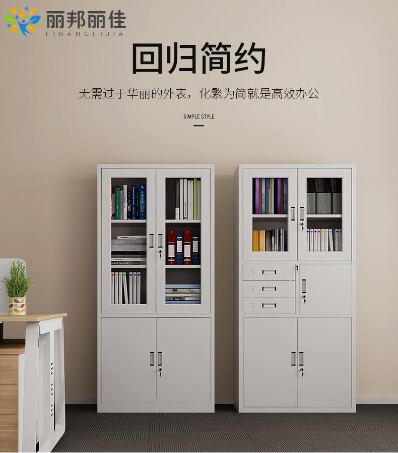 文件柜铁皮柜资料档案密集箱柜财务凭证柜储物书柜子家具抽屉开门 4门