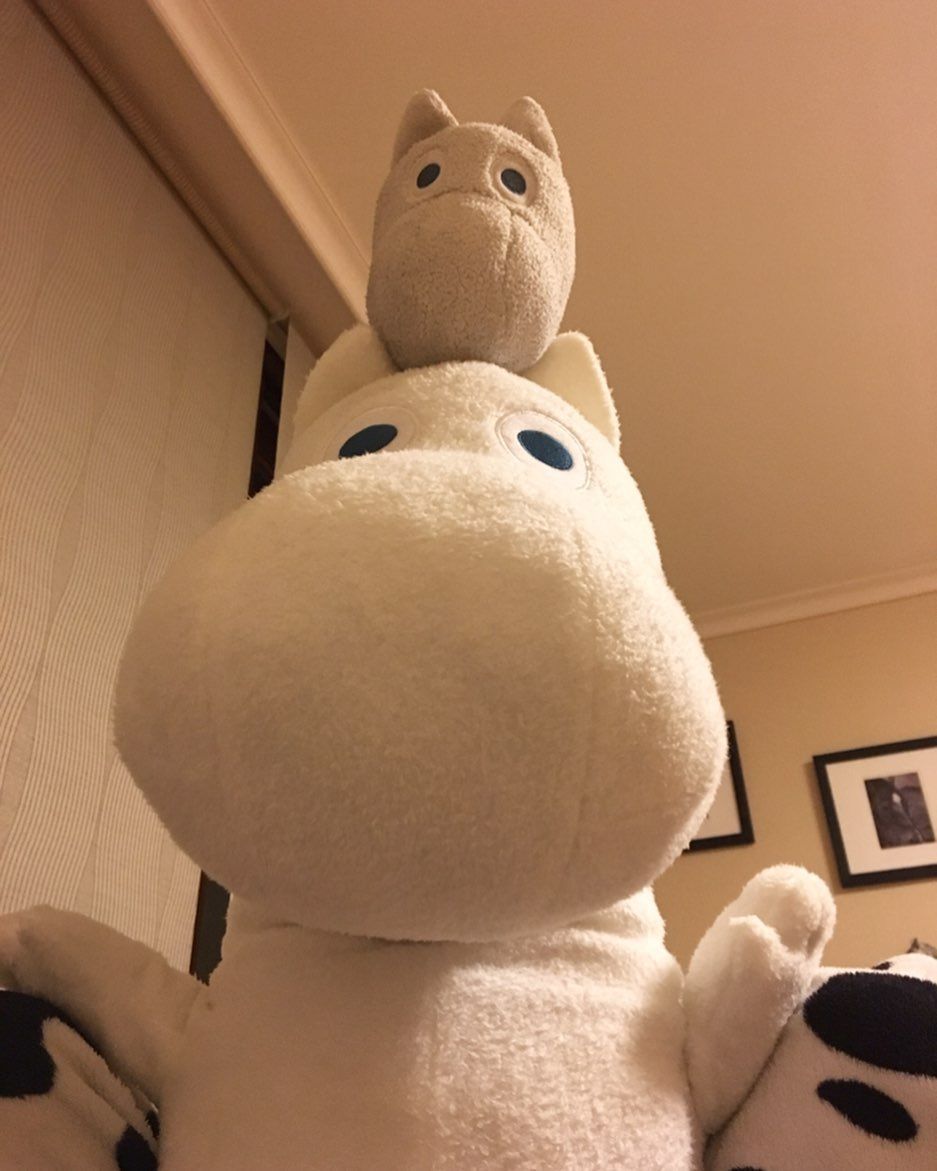 姆明一族moomin河马公仔毛绒玩具抱枕暑假儿童礼物乳白色噜噜咪公仔约