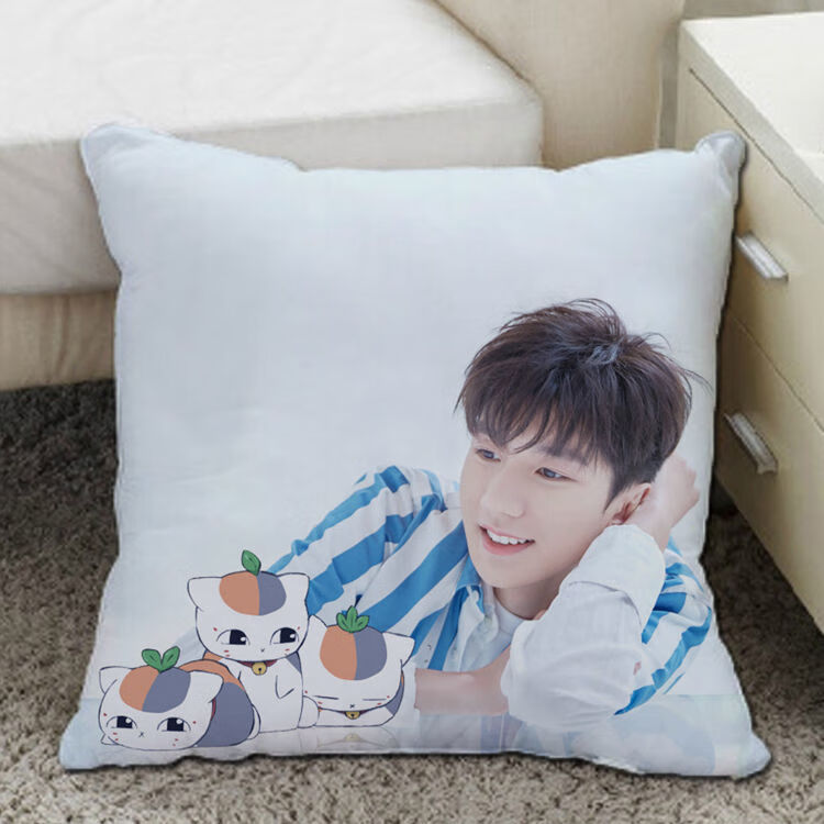 王源周边抱枕可爱双面照片定制同款小汤圆靠垫枕diy创意生日礼物0135x