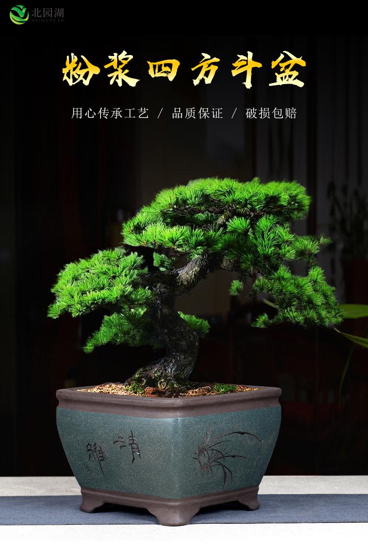 宜兴紫砂四方斗盆景兰花盆签筒室内特大号长方形阳台透气 浅绿色 墨绿