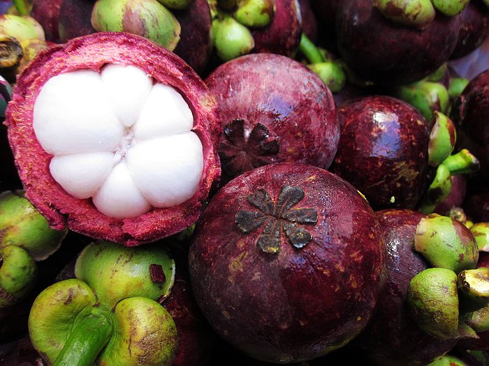 红肉泰国进口无籽山竹树苗地栽当年结果南方北方种植 红肉山竹4年苗