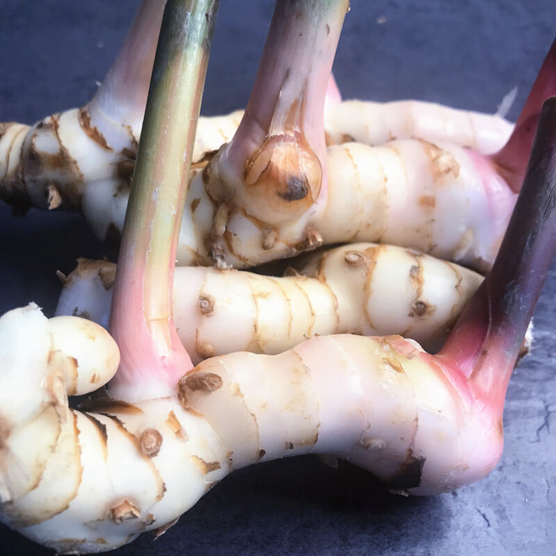 香味浓郁泰国白皮南姜泰国冬阴功调味料咖喱新鲜南姜良姜生姜冬荫功汤