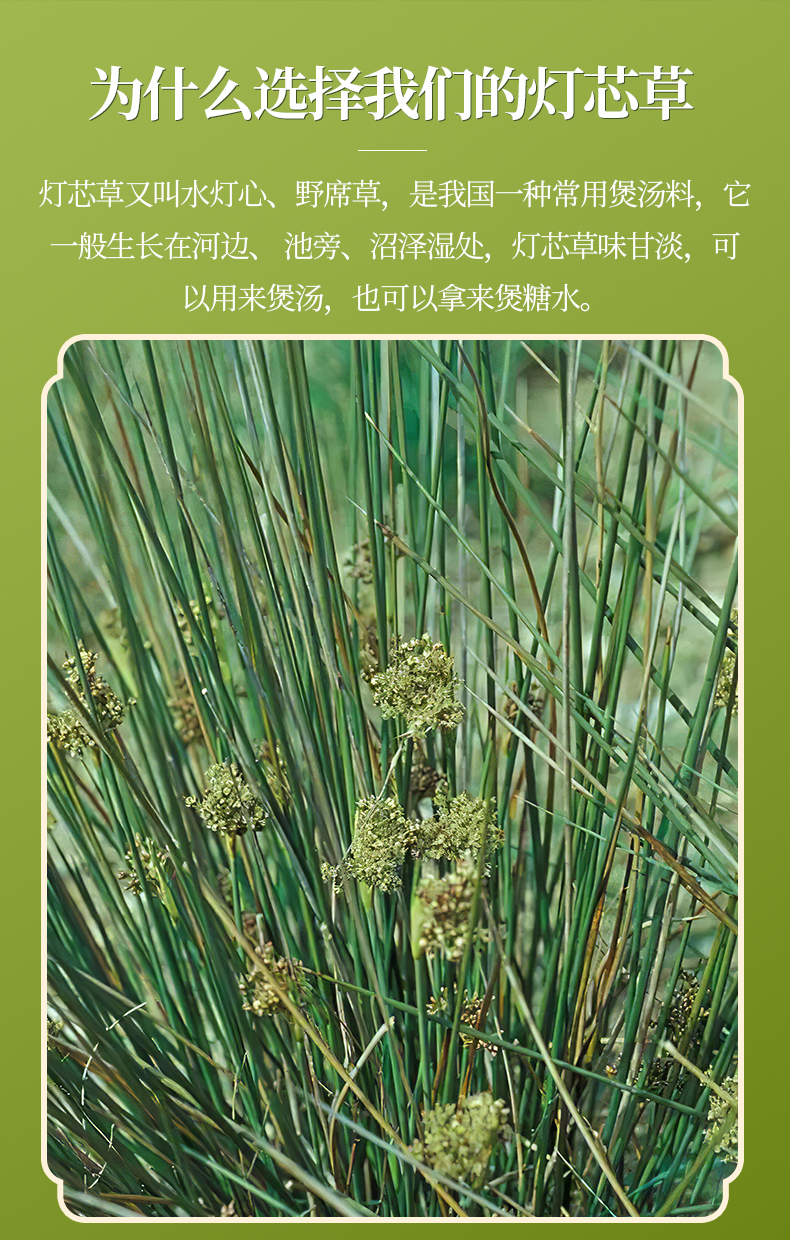 灯心草灯芯草龙须草虎须草100g枕头水灯草【图片 价格 品牌 报价】