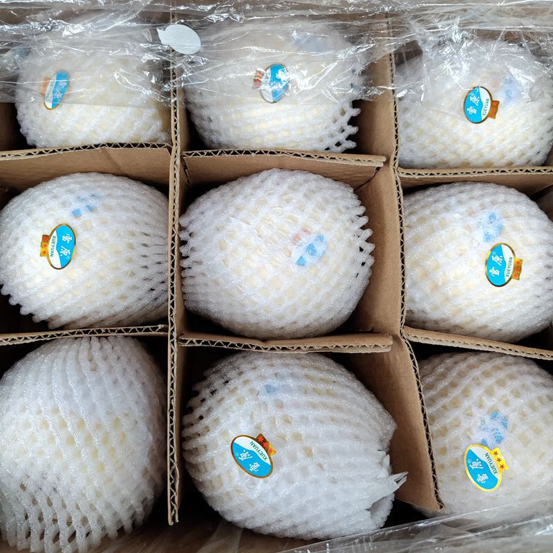 朵蕙 正宗甘肃雪原白果金帅苹果特级苹果礼盒新疆脆甜多汁整箱当季新