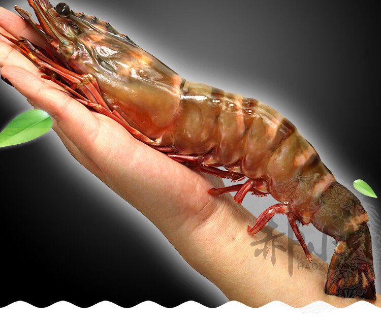 超大黑虎虾红虎虾海虾新鲜海捕大虾鲜虾海鲜水产鲜活冷冻特大对虾500g