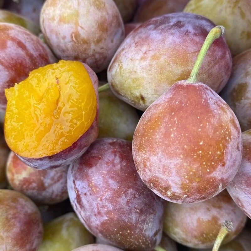 西梅水果新鲜大西梅鲜果鲜西梅水果李子5斤装精选果