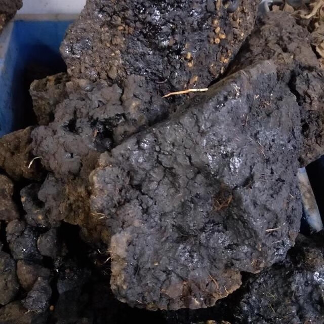 【官方旗舰】中药材猴结 猴竭 实物拍摄血灵芝 脂 乌猿结500克【优选