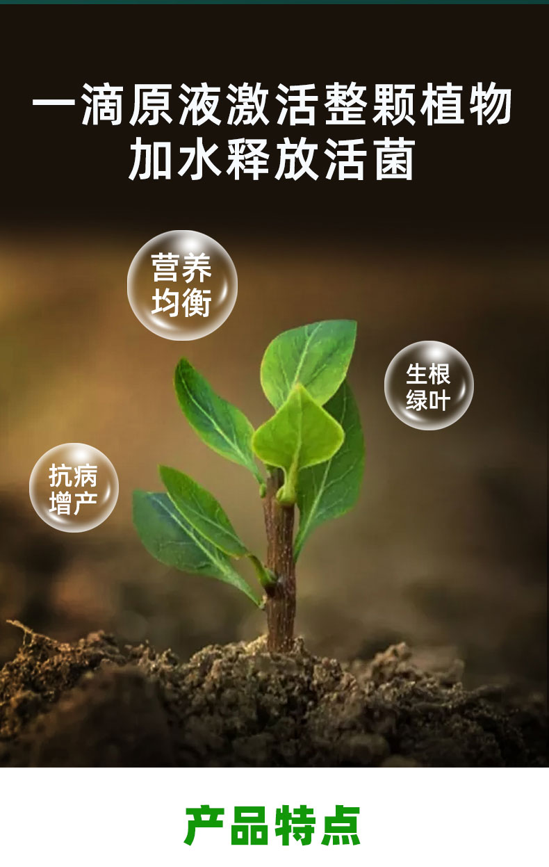一喷绿植物生长平衡液果树专用微量元素氨基酸叶面肥花卉蔬菜通用250