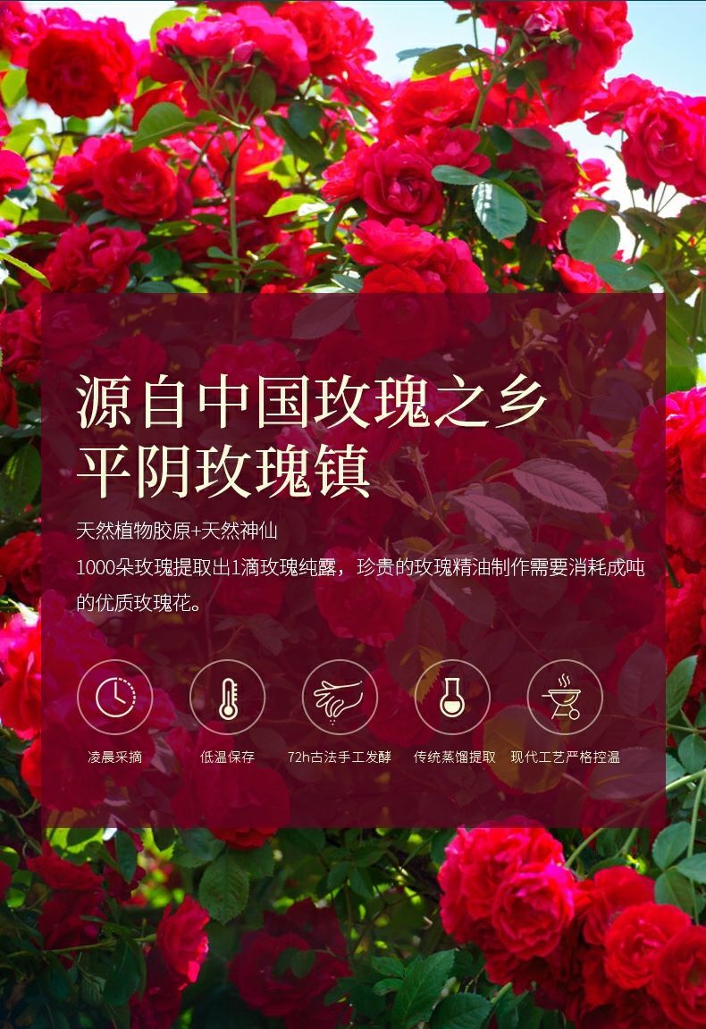 玫瑰花瓣精粹面膜膏李志刚rose颂官网平阴2瓶山东产山东发志刚面膜膏