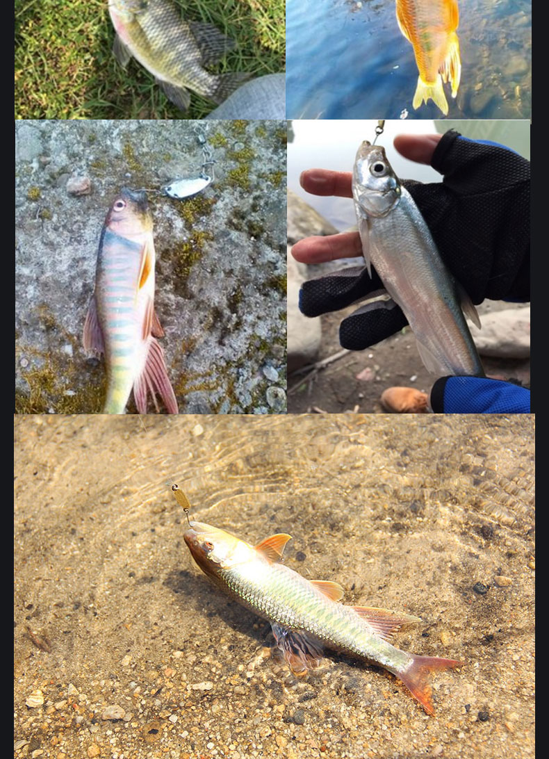 品钓马口餐条路亚亮片11g16g鱼硬饵拟饵单钩柳叶勺型假饵竿11g粉白2个