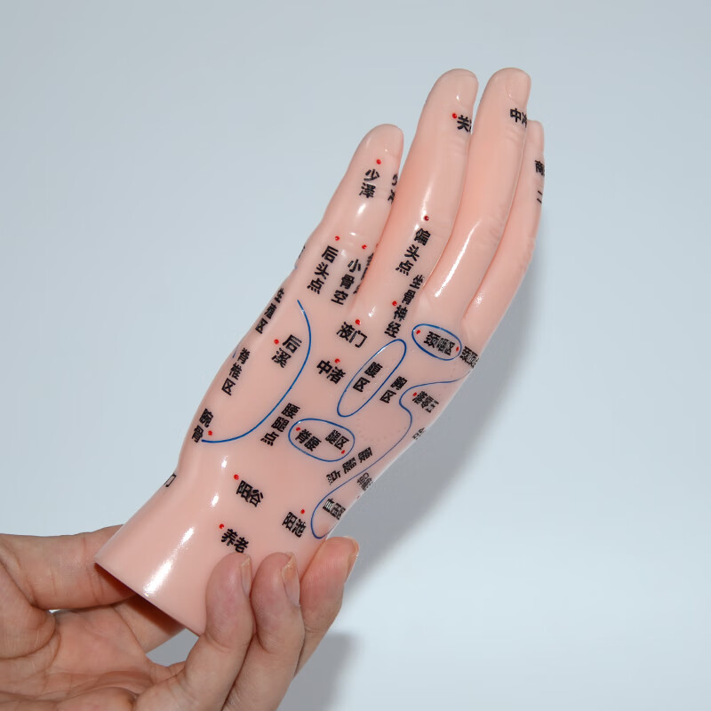 善易器械店 超清晰软质刻字版手部按摩反射区穴位模型手模左手掌背