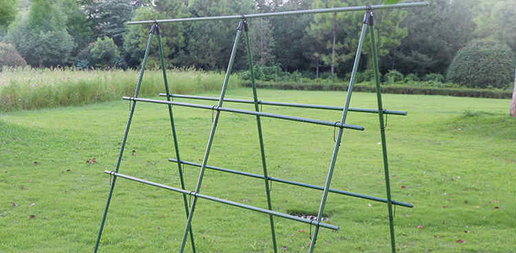 黄瓜架杆豆角架杆家用种菜架子爬藤架杆花架阳台支撑架植物豆角黄瓜架