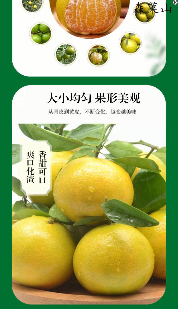 顺丰正宗德庆皇帝柑广东贡柑新鲜现摘水果黄帝柑桔蜜橘子老树果整箱5