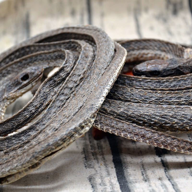 乌梢蛇干货中药材整条500克中药材 四川乌蛇干白花蛇 胶囊蝮蛇【图片