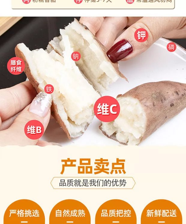 山东哈密冰糖薯新鲜白心蜜薯糖心红薯番薯农家自种沙地地瓜5/9斤 精选