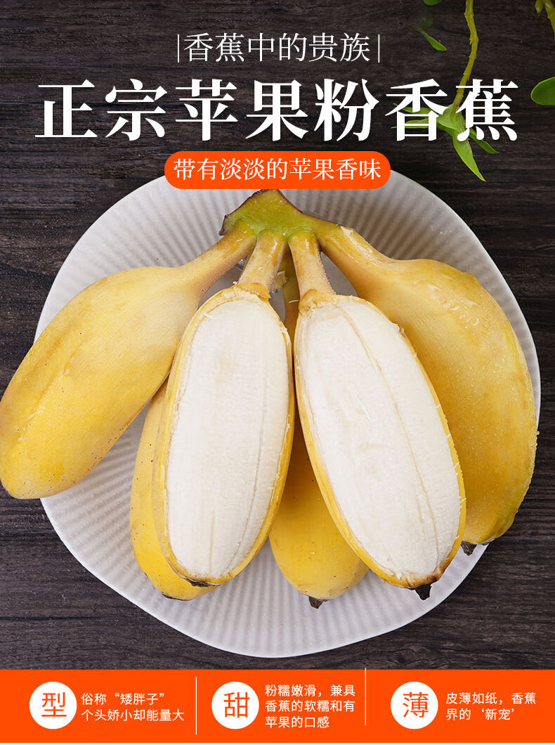大麦克香蕉 苹果蕉新鲜甜糯苹果粉蕉banana自然成熟当季热带水果香蕉