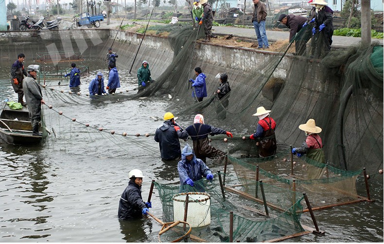 拉网渔网抬网隔断网搬筝鱼网养殖网箱虎口网 高1米宽6米尾长3米