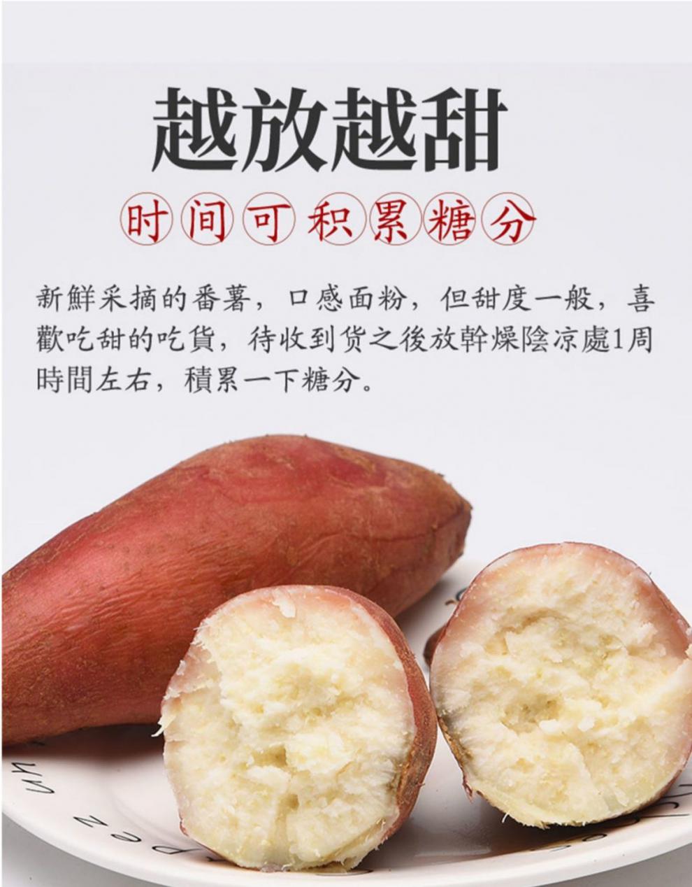 【年货精选】白心红薯新鲜板栗薯老品种白肉番薯白瓤粉糯干面山芋 #dh