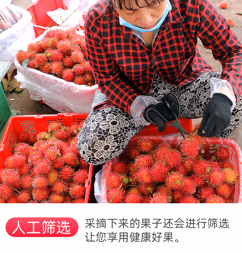 ea95221b3529304a.jpg.avif