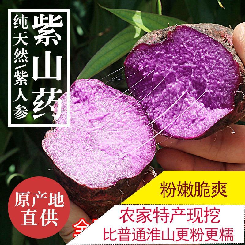 现挖新鲜紫山药脚板薯紫淮山大薯毛薯种苗江西赣南农家特产种子1斤紫