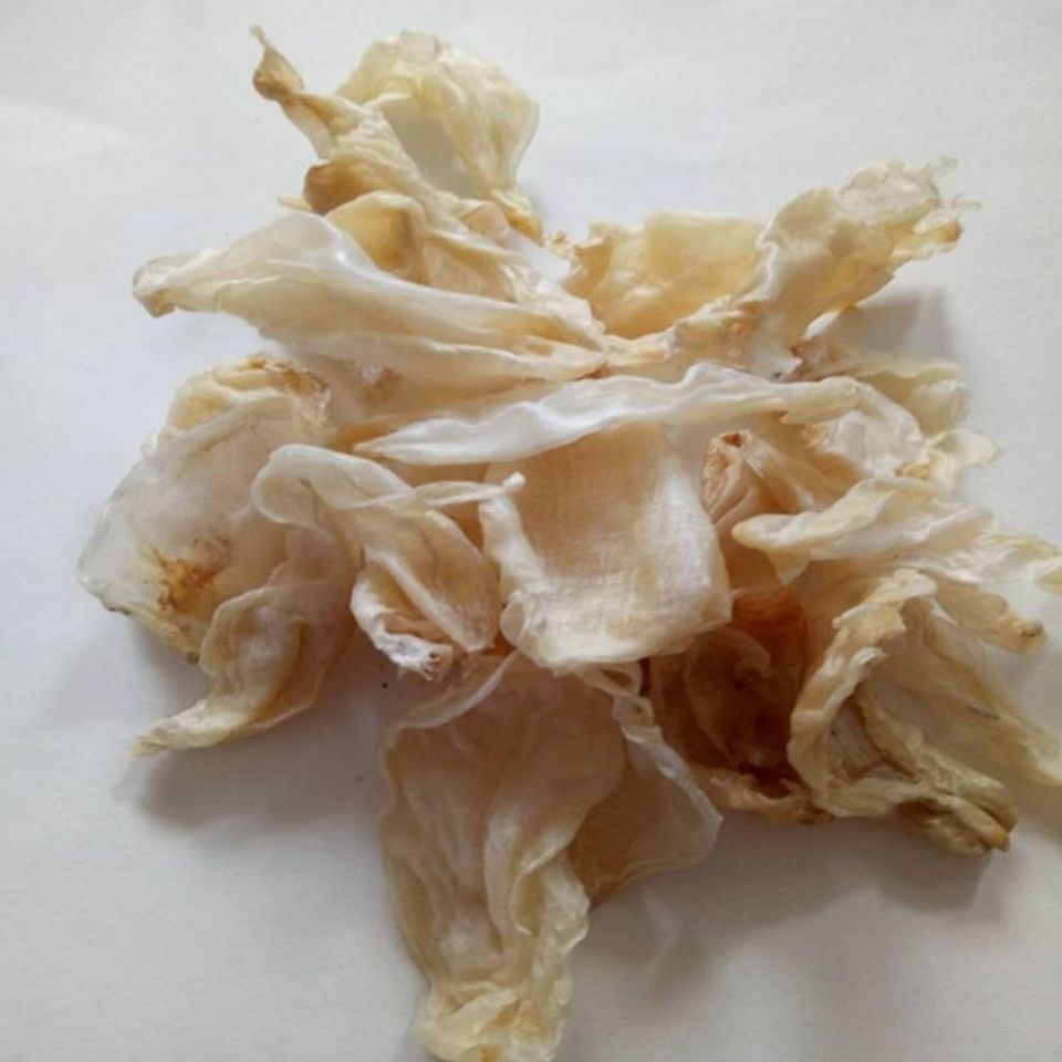 中药材鱼螵鱼胶鱼肚鱼膘黄花胶鱼漂胶鱼鳔胶鱼泡50克