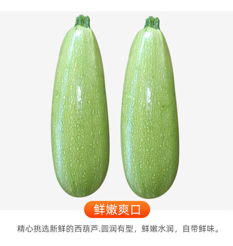 蔬菜瓜的种类大全图片