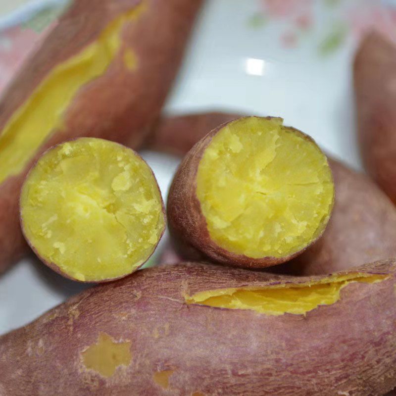 现挖现发农家新鲜红薯沙土地黄心蜜薯小香薯地瓜带箱95斤