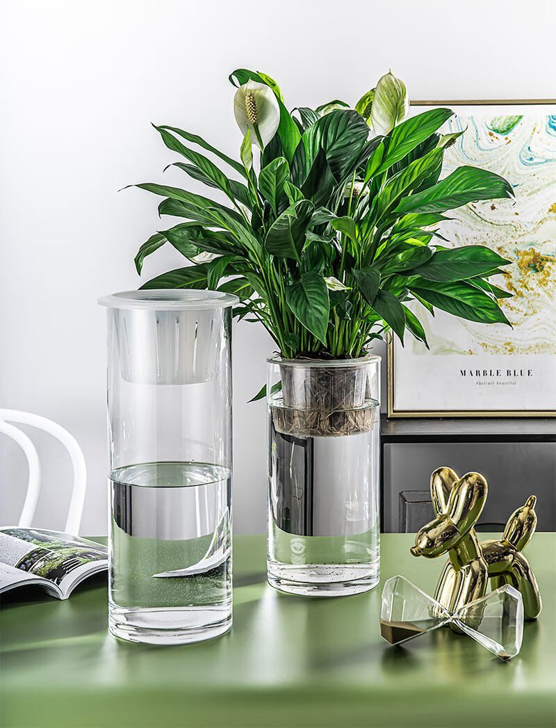 水培植物玻璃瓶水培容器透明直筒圆柱形花瓶简约绿萝白掌水养玻璃容器