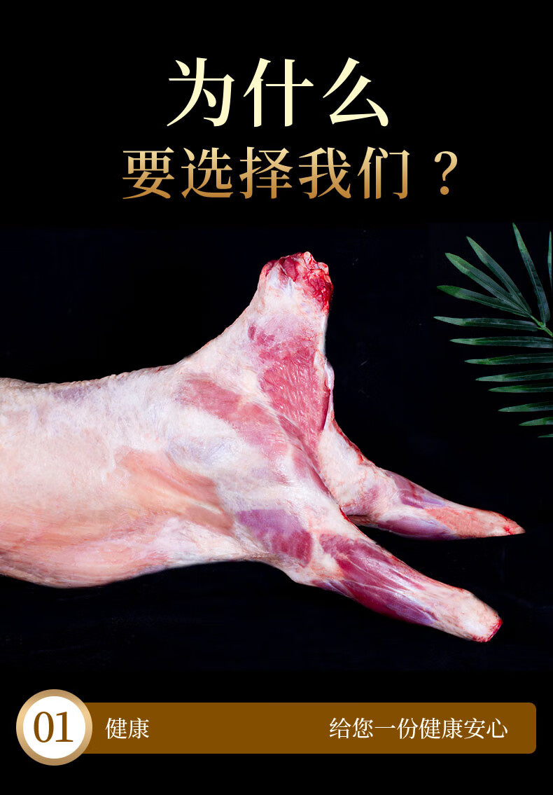 魃鲜生鲜新疆羊肉新鲜现杀阿勒泰大尾羊羔羊肉红烧清水煮羊肉烤肉火锅