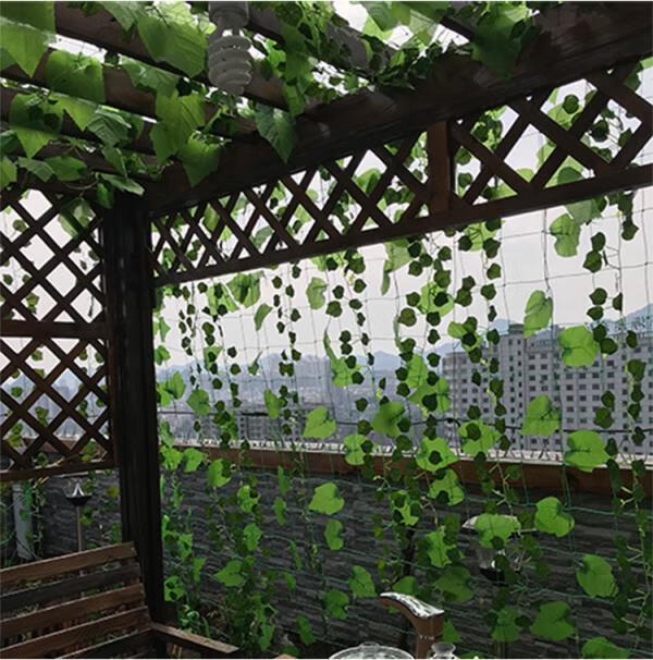 琛艺植物藤网种植爬藤网植物攀爬网家用蔬瓜果网种黄瓜百香果园艺菜藤
