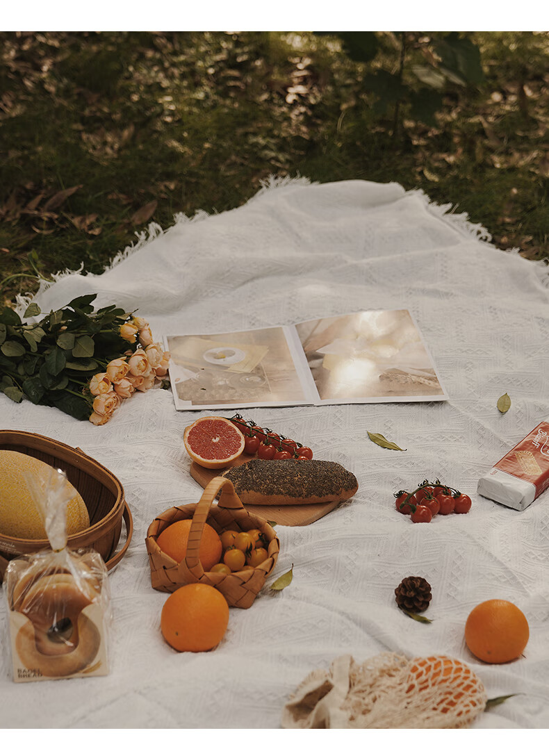 户外露营地垫野餐垫ins风沙滩垫加厚白色野餐布网红用品道具桌布白色