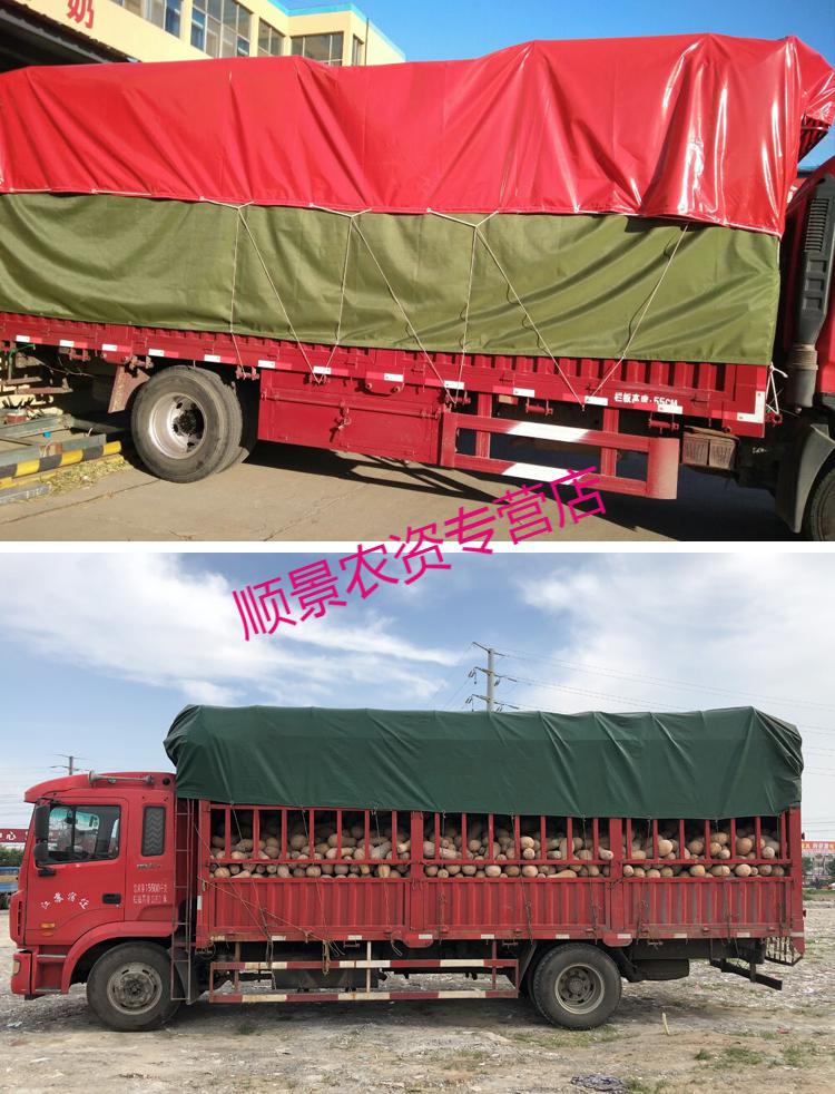 6米帆布油布防水超轻耐磨防雨布 货车绳【50米】【图片 价格 品牌