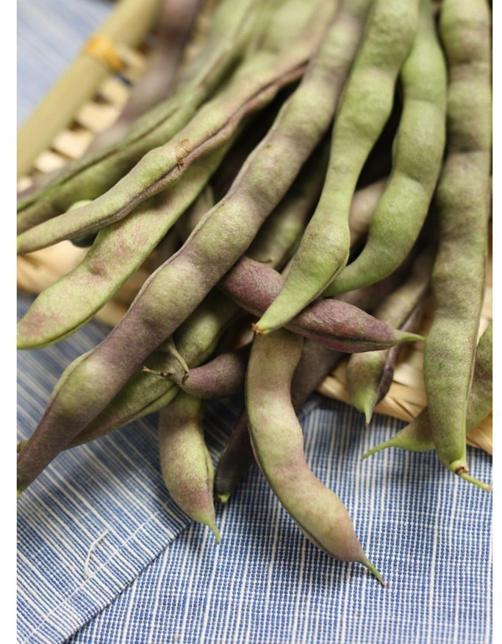 【顺丰速发】东北特产紫豆角农家自种新鲜蔬菜大紫袍芸豆冻死鬼长扁豆