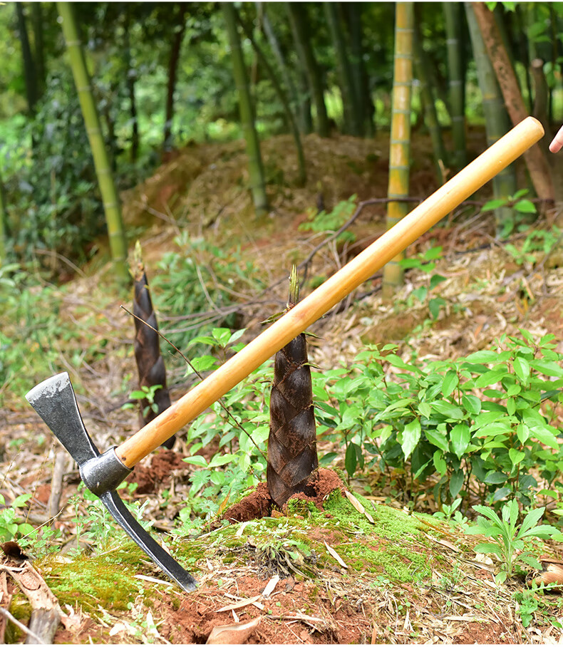 农用工具挖笋专用锄头挖竹笋神器镐斧两用锄家用挖土种菜种地农具轨道