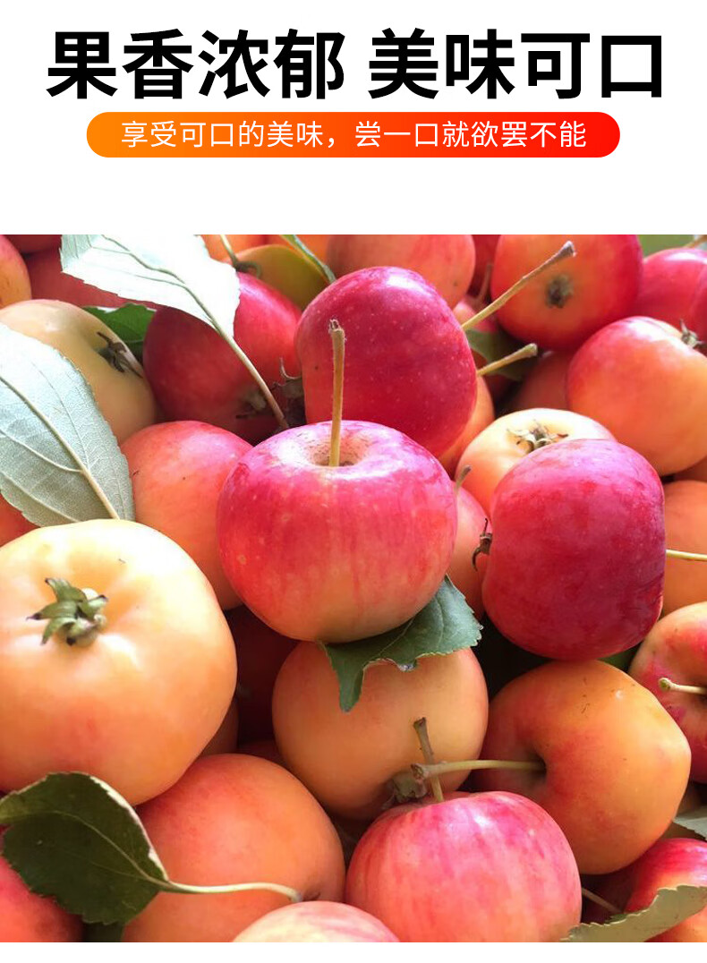 独爱(duar)东北沙果新鲜海棠果当季农产品水果孕妇水果小苹果 5斤