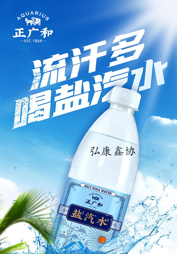 正广和 盐汽水600ml*20瓶整箱 多规格360ml碳酸饮料汽水 正广和 盐