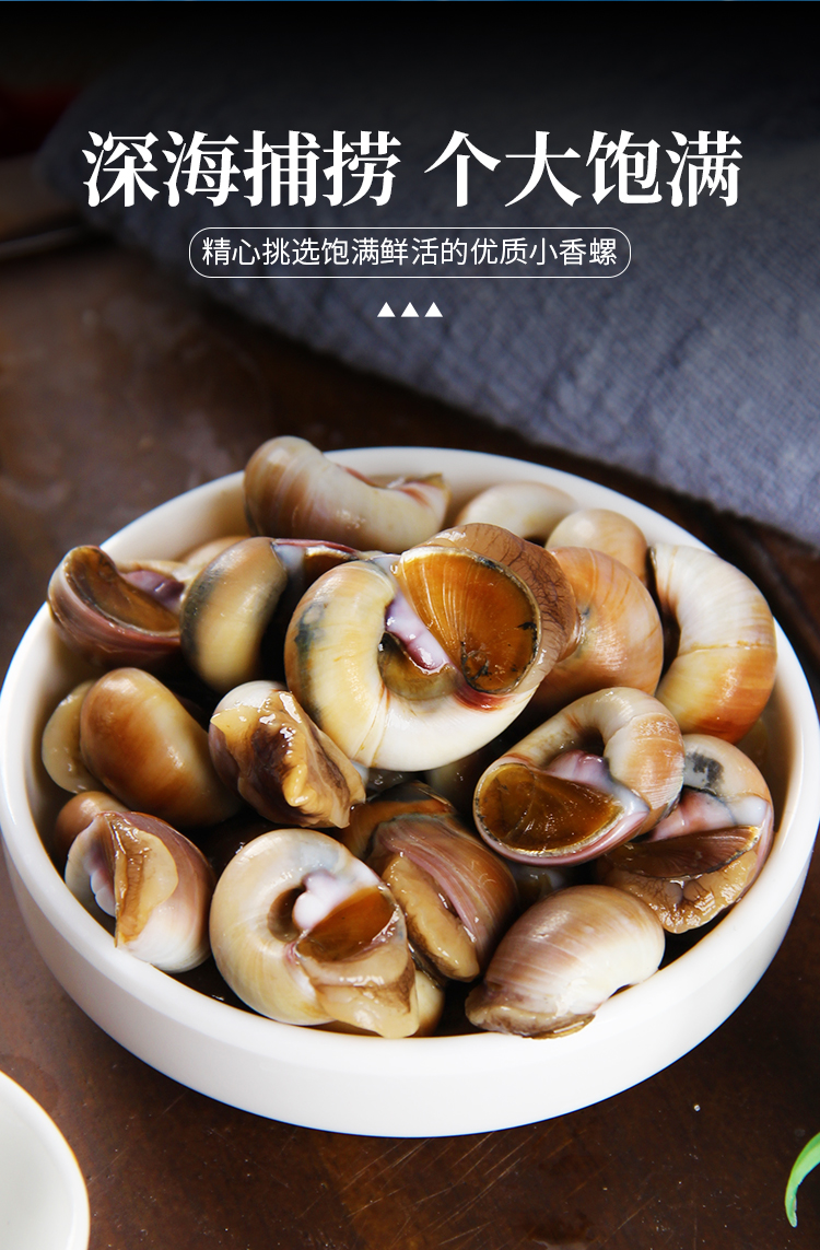 顺丰冷链超朴猫眼螺鲜活香螺新鲜红香螺小香螺甜螺黄