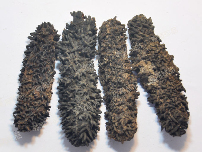 b级澳洲梅花参 进口淡干海参 干货海产品 食用水产 大号(6-20头/斤)
