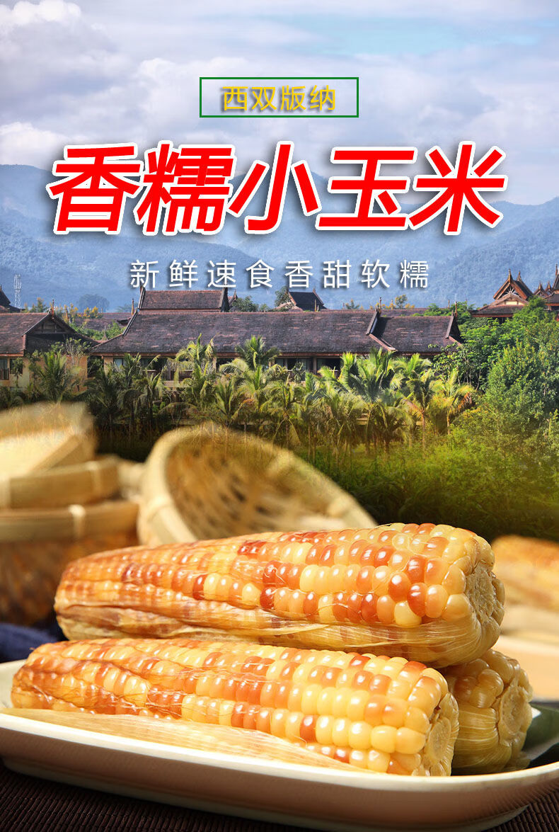 云南西双版纳小玉米小苞谷香甜糯新鲜玉米彩色花玉米真空锁鲜香糯小