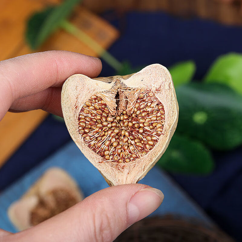 中药材 木馒头 霹雳果 薜荔果 奶母果 500克 可打碎 木馒头1千克