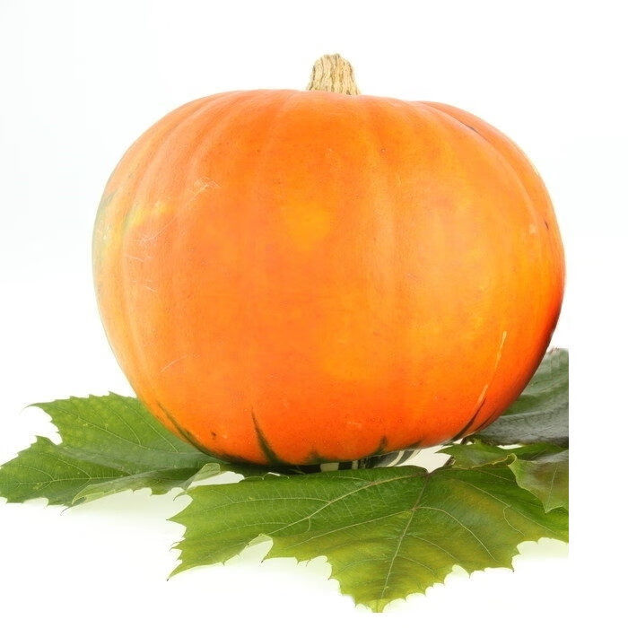 脱水蔬菜南瓜粒500g 去皮南瓜丁南瓜粥营养代餐煮粥 南瓜粒500g【图片