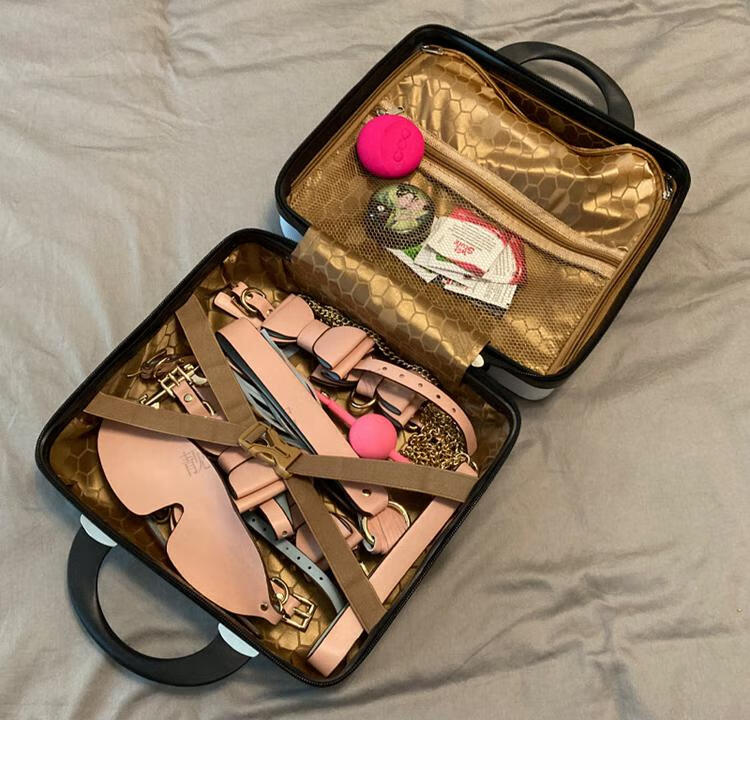 私密隐私用品收纳盒 情趣性收纳箱带密码锁玩具收纳物品内衣储物盒