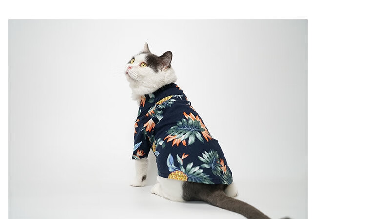 夏威夷风宠物衬衫狗狗小型犬英短蓝猫衣服猫咪衣服夏季薄款防掉毛lis