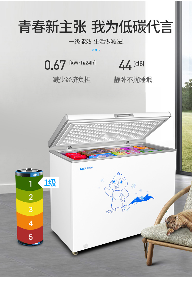 奥克斯冷柜家用冷冻柜小型商用大容量冷藏冷冻保鲜柜迷你冰柜shunrui