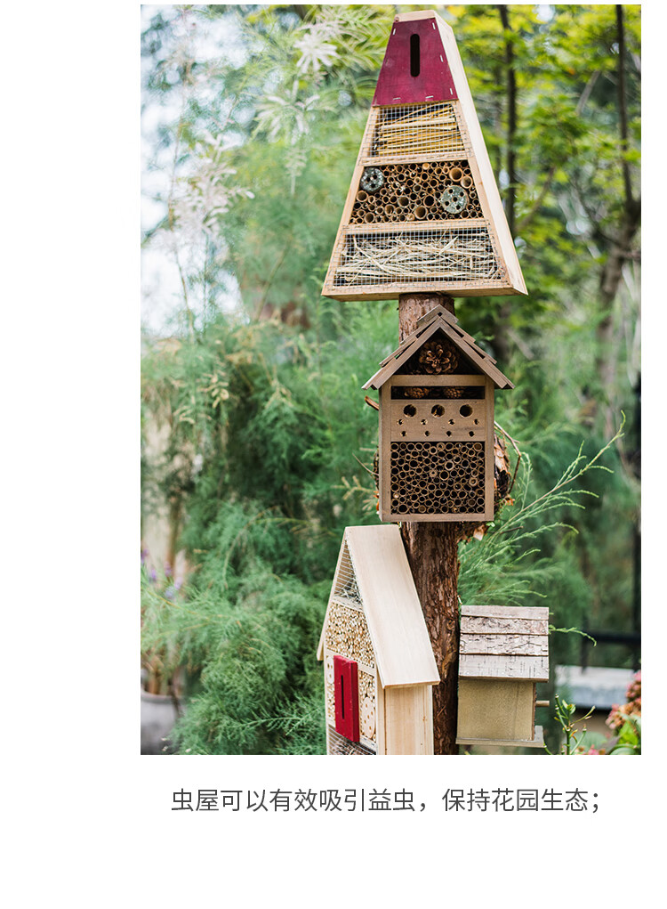 掬涵益昆虫屋庭院花园户外摆件果蔬保护自动除虫科普生态观察民宿装饰